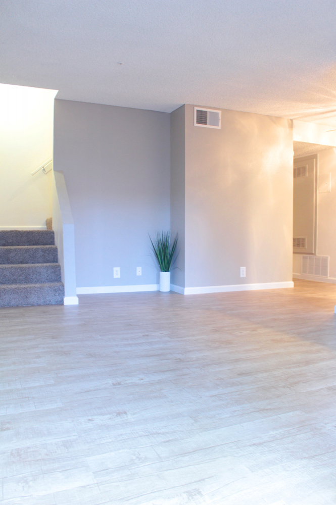 This image is the visual representation of Interiors 11 in Mountain View Apartments.